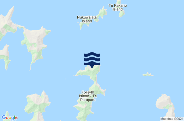 Mappa delle maree di Forsyth Island (Te Paruparu), New Zealand