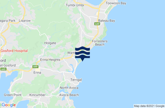 Mappa delle maree di Holgate, Australia