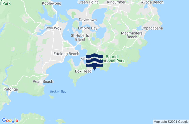 Mappa delle maree di Killcare Beach, Australia