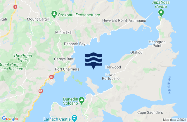Mappa delle maree di Portobello Bay, New Zealand