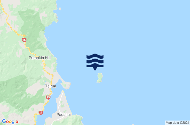 Mappa delle maree di Shoe Island (Motuhoa), New Zealand