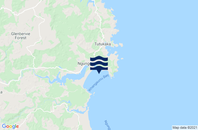 Mappa delle maree di Whangaumu Bay, New Zealand