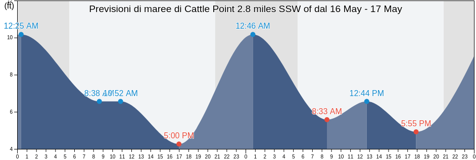Maree di Cattle Point 2.8 miles SSW of, San Juan County, Washington, United States
