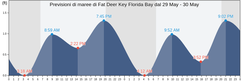 Maree di Fat Deer Key Florida Bay, Monroe County, Florida, United States