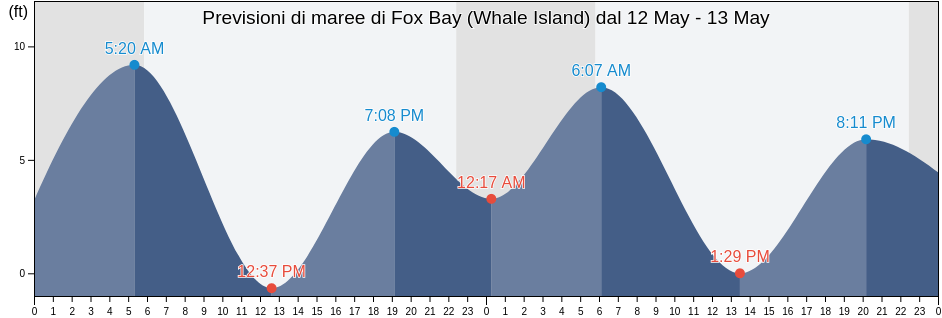 Maree di Fox Bay (Whale Island), Kodiak Island Borough, Alaska, United States