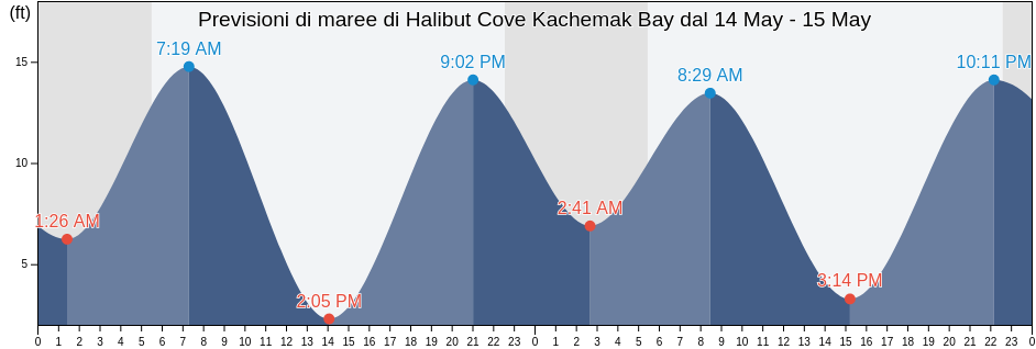 Maree di Halibut Cove Kachemak Bay, Kenai Peninsula Borough, Alaska, United States