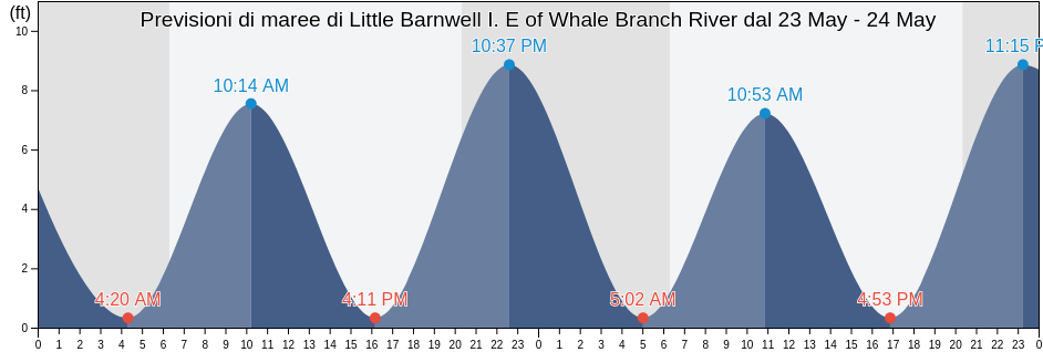 Maree di Little Barnwell I. E of Whale Branch River, Beaufort County, South Carolina, United States