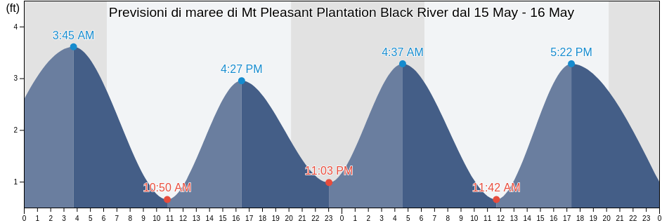 Maree di Mt Pleasant Plantation Black River, Georgetown County, South Carolina, United States