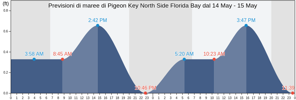Maree di Pigeon Key North Side Florida Bay, Monroe County, Florida, United States