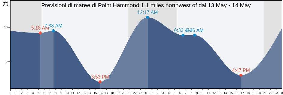 Maree di Point Hammond 1.1 miles northwest of, San Juan County, Washington, United States