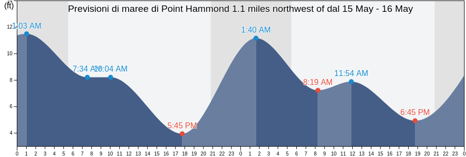Maree di Point Hammond 1.1 miles northwest of, San Juan County, Washington, United States