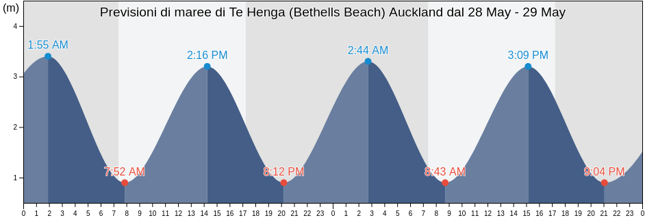 Maree di Te Henga (Bethells Beach) Auckland, Auckland, Auckland, New Zealand
