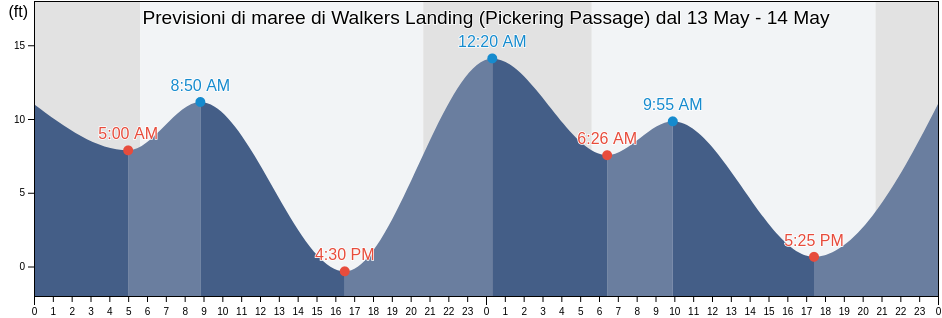 Maree di Walkers Landing (Pickering Passage), Mason County, Washington, United States