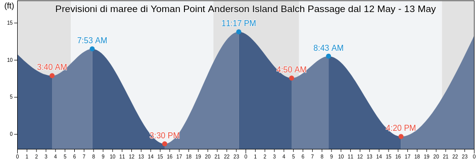 Maree di Yoman Point Anderson Island Balch Passage, Thurston County, Washington, United States