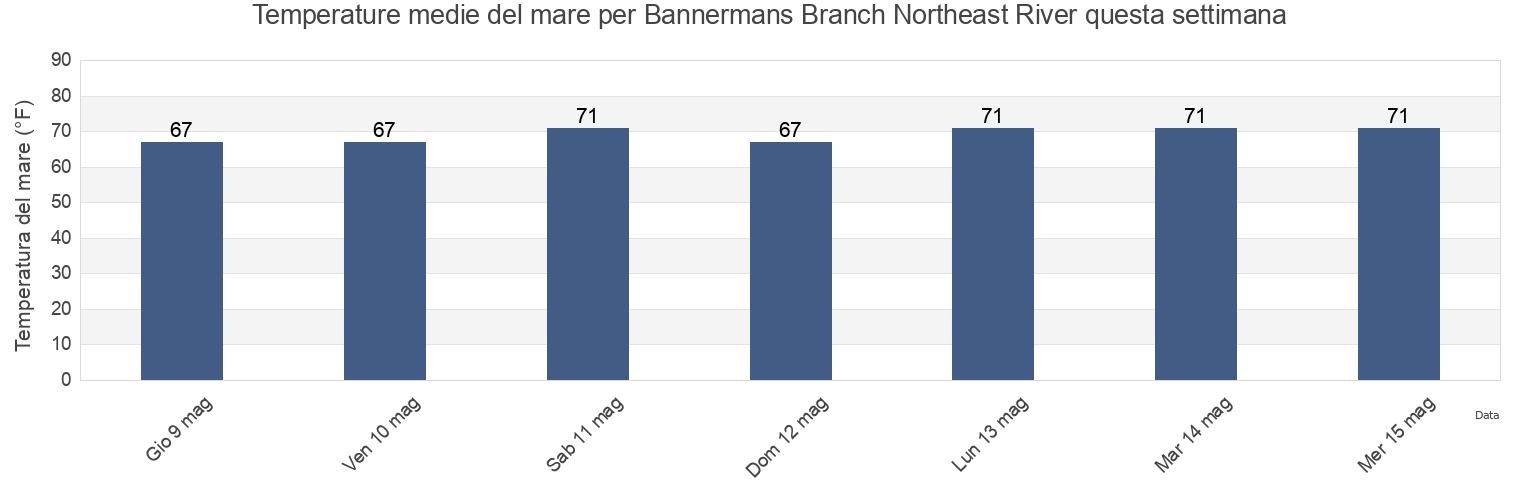 Temperature del mare per Bannermans Branch Northeast River, Pender County, North Carolina, United States questa settimana