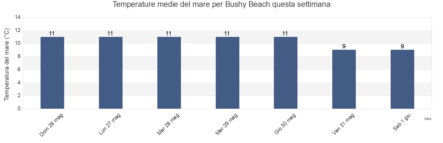 Temperature del mare per Bushy Beach, Otago, New Zealand questa settimana