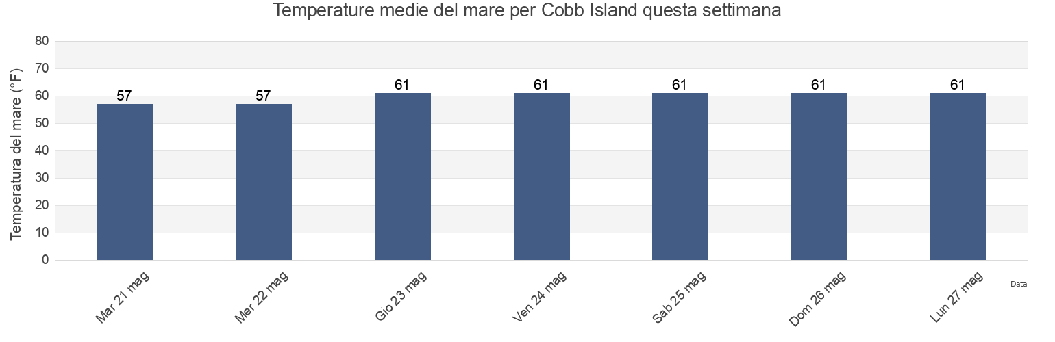 Temperature del mare per Cobb Island, Charles County, Maryland, United States questa settimana