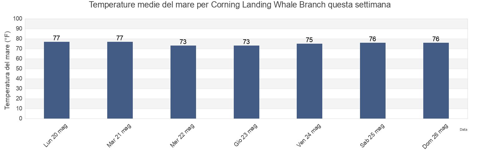 Temperature del mare per Corning Landing Whale Branch, Beaufort County, South Carolina, United States questa settimana