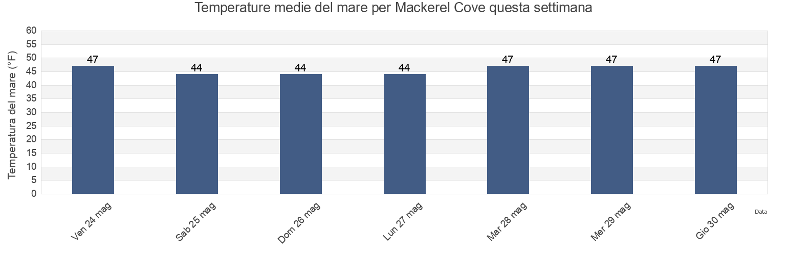 Temperature del mare per Mackerel Cove, Knox County, Maine, United States questa settimana