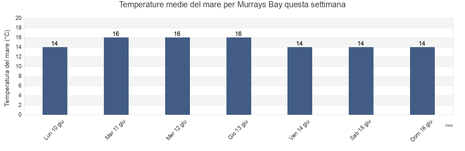 Temperature del mare per Murrays Bay, Auckland, Auckland, New Zealand questa settimana
