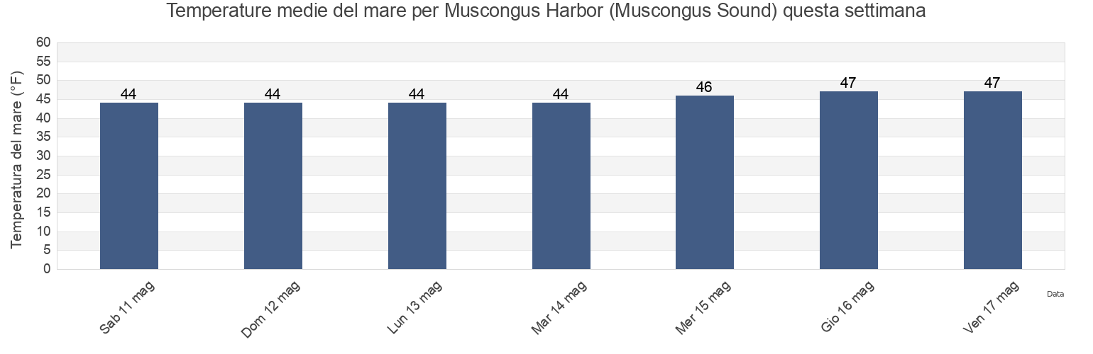 Temperature del mare per Muscongus Harbor (Muscongus Sound), Lincoln County, Maine, United States questa settimana