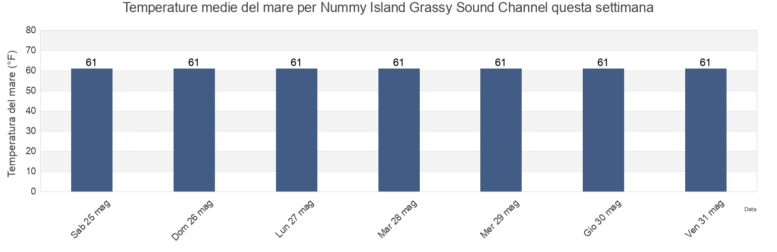 Temperature del mare per Nummy Island Grassy Sound Channel, Cape May County, New Jersey, United States questa settimana