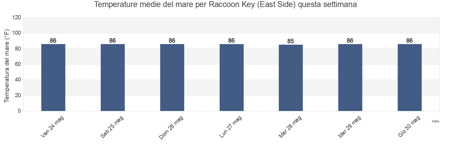 Temperature del mare per Raccoon Key (East Side), Monroe County, Florida, United States questa settimana