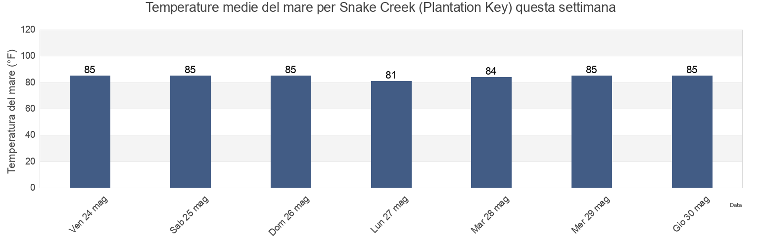 Temperature del mare per Snake Creek (Plantation Key), Miami-Dade County, Florida, United States questa settimana
