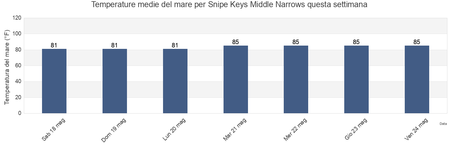 Temperature del mare per Snipe Keys Middle Narrows, Monroe County, Florida, United States questa settimana
