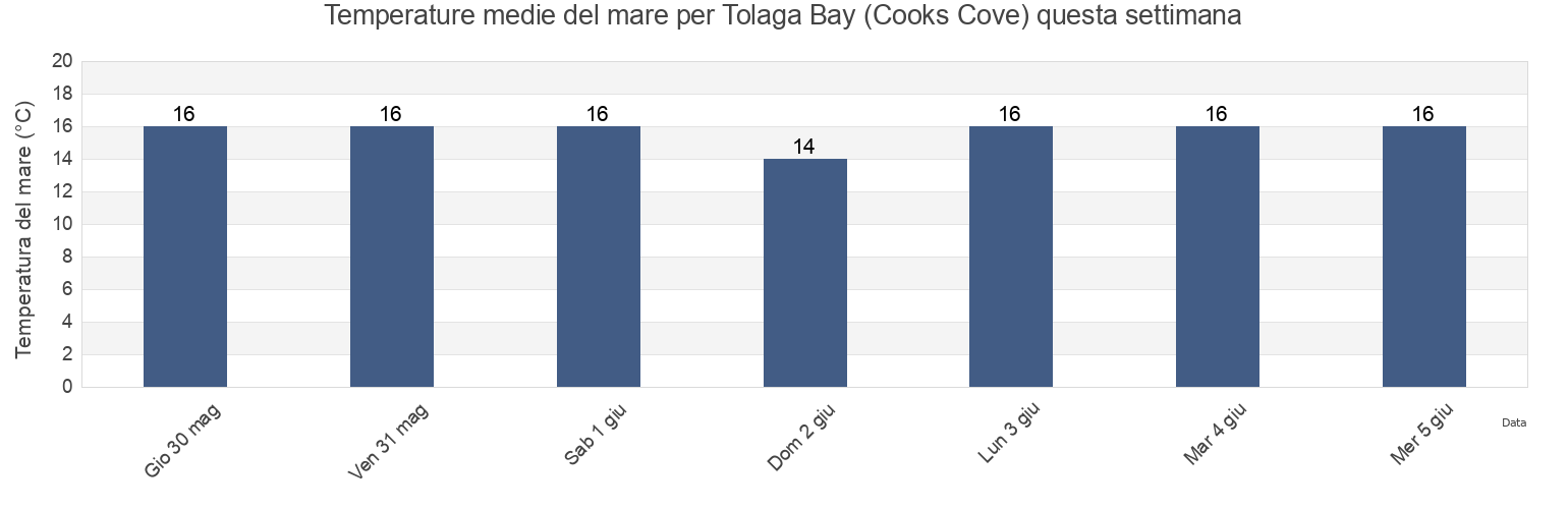 Temperature del mare per Tolaga Bay (Cooks Cove), Gisborne District, Gisborne, New Zealand questa settimana