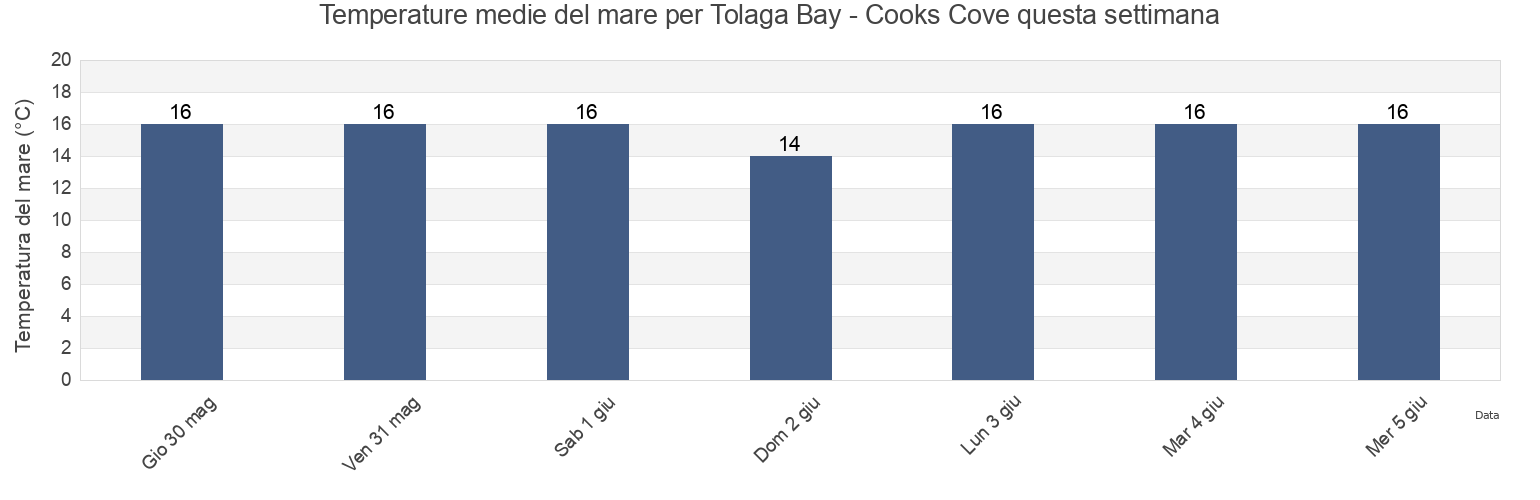 Temperature del mare per Tolaga Bay - Cooks Cove, Gisborne District, Gisborne, New Zealand questa settimana
