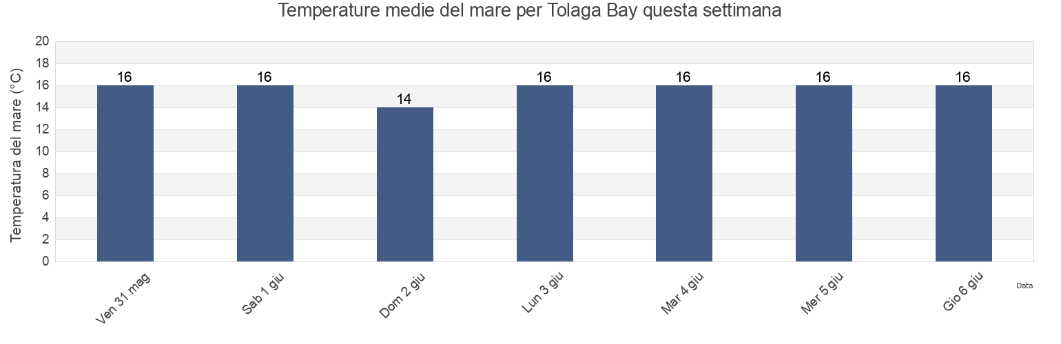 Temperature del mare per Tolaga Bay, New Zealand questa settimana