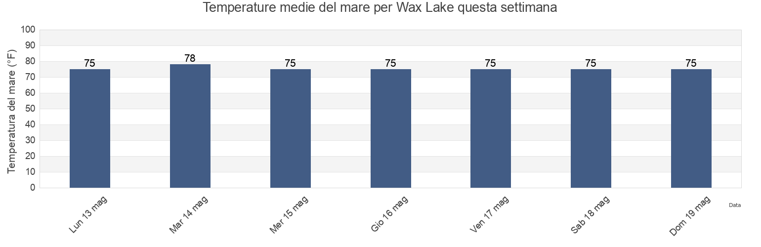 Temperature del mare per Wax Lake, Saint Mary Parish, Louisiana, United States questa settimana