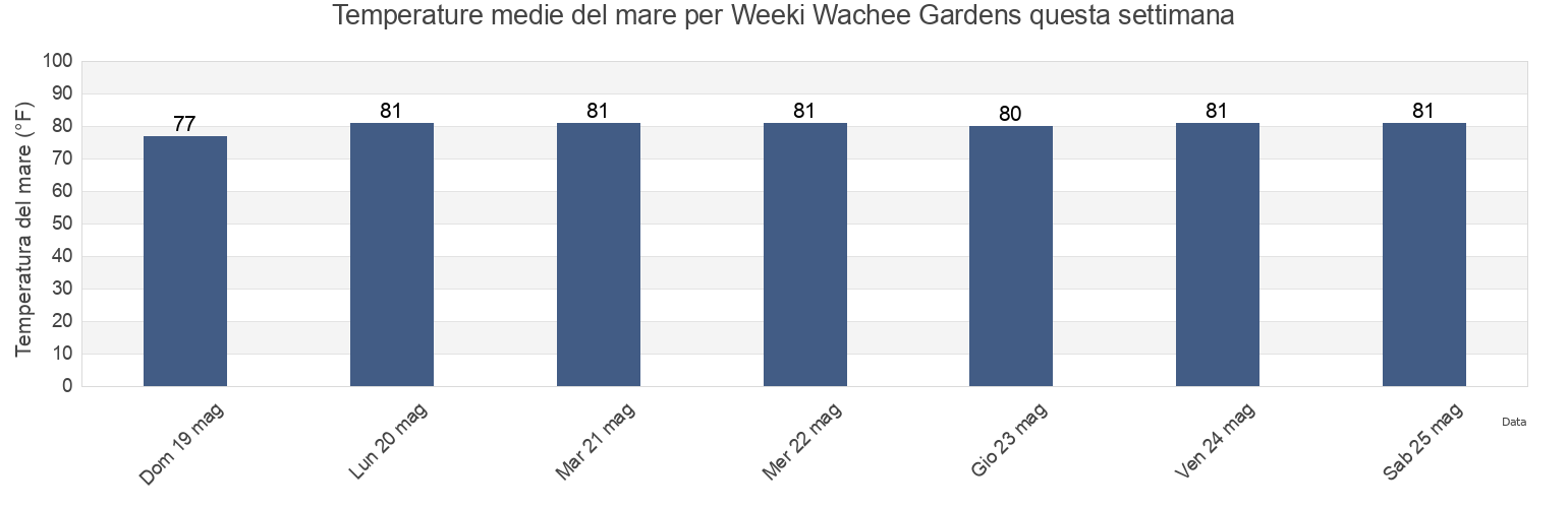 Temperature del mare per Weeki Wachee Gardens, Hernando County, Florida, United States questa settimana