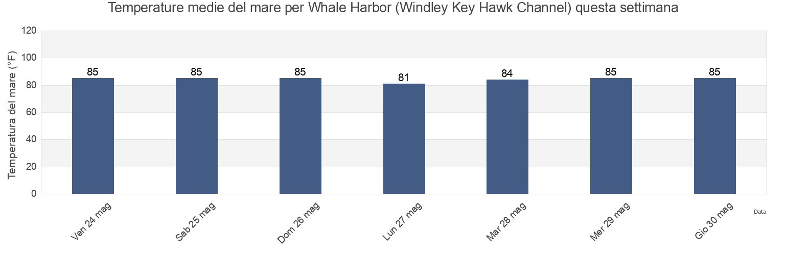 Temperature del mare per Whale Harbor (Windley Key Hawk Channel), Miami-Dade County, Florida, United States questa settimana